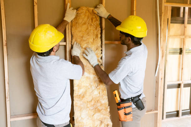 Best Best Insulation Companies  in Hahira, GA