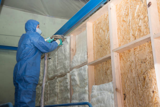 Garage Insulation Installation in Hahira, GA
