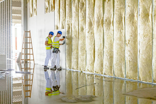 Best Garage Insulation Installation  in Hahira, GA